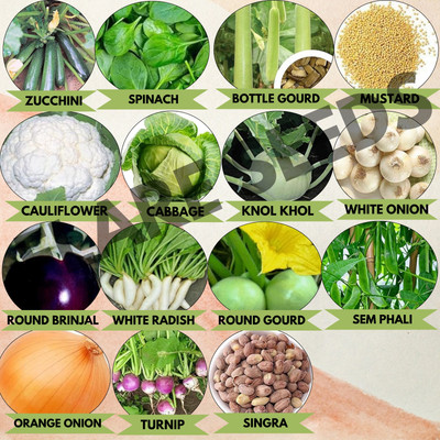 FLARE SEEDS 15 Variety Vegetable Seeds Combo Organic Seeds Pack Seed(15 per packet)