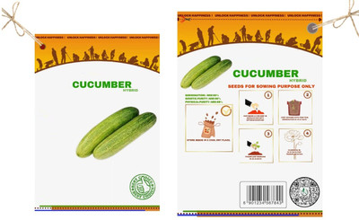 Qualtivate HYB-7A Green Cucumber Hybrid Seeds Seed(300 per packet)
