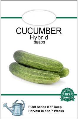 Qualtivate HUA-3A Hybrid Cucumber Seeds Seed(300 per packet)