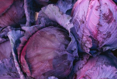 Aywal Purple Cabbage Seed(10 per packet)