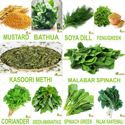 FLARE SEEDS Leafy Vegetable Seeds Combo set Seed(10 per packet)