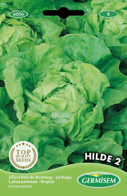 CYBEXIS Hilde Lettuce Seeds2000 Seeds Seed(2000 per packet)