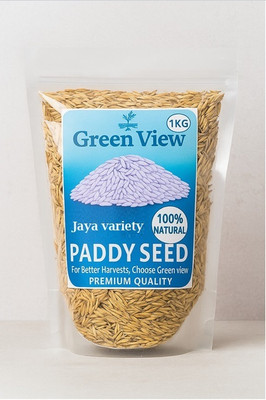 Green view miniket jaya paddy seed Seed(1 per packet)
