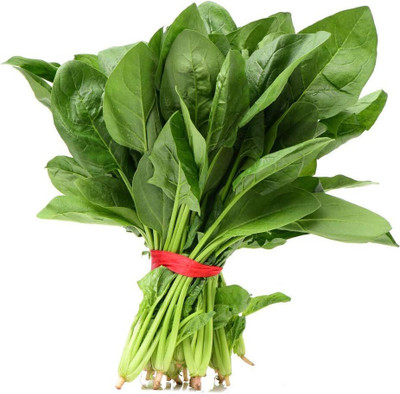 KNESSiN QLI-36 Spinach Seed(200 per packet)
