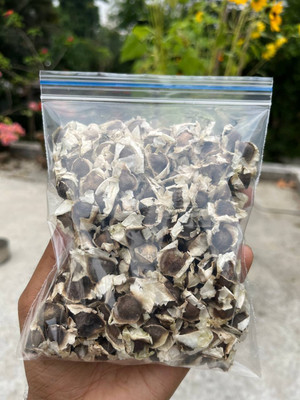 the green dotcom Moringa Drumstick Plant Seed(102 per packet)