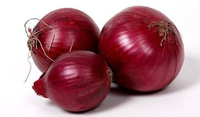 WILLVINE HAR -IV Organic Seeds - Onion Black [25g] Seed(15000 per packet)