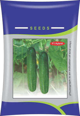 JVK ® F1 Hybrid Cucumber Seeds(60 Seeds) Seed(100 per packet)