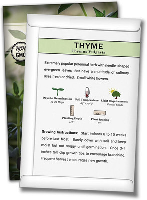 CYBEXIS XL-97 - Thyme(Thymus Vulgaris)Herb - (150 Seeds) Seed(150 per packet)