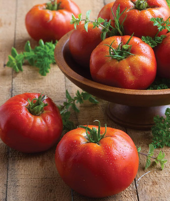 Qualtivate RES-9A Big Daddy' Slicing Tomato Seed(300 per packet)