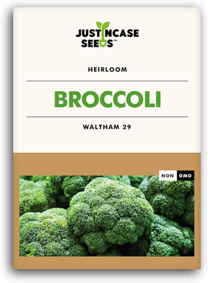 Qualtivate PUA-7A Broccoli Waltham 29 Seeds Seed(300 per packet)