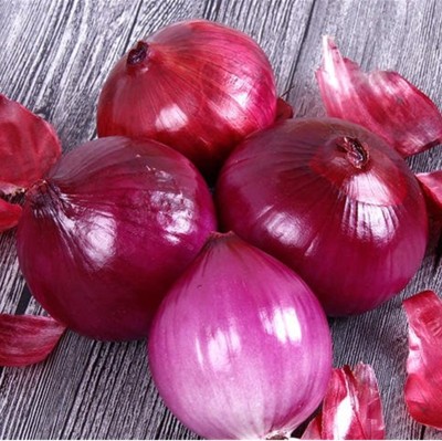 WATIKA Red Onion Super Nasik Seed(2000 per packet)