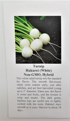 Quentova Turnip Seeds Seed(1000 per packet)