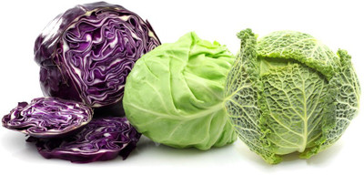 KNESSiN Mixed Cabbage Seeds Combo Seed(200 per packet)