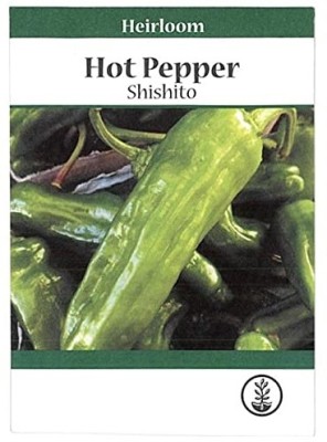 KNESSiN DLH-82 Shishito Pepper Seed(100 per packet)