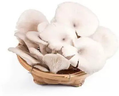 Chalisa Mushroom Seed(55 per packet)