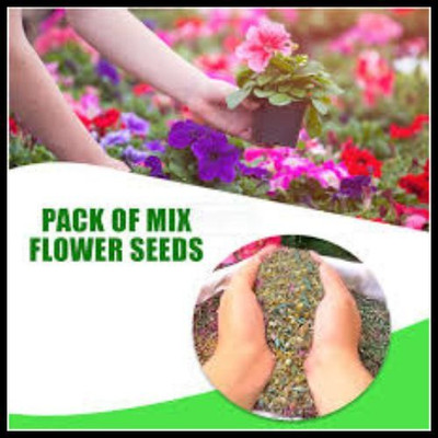 RUDRAAMAA 10 Variety Flower Seeds Combo Pack All-Season Blooms for Summer, Winter & Spring Seed(100 g)