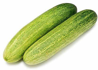 WILLVINE LX-701 Hybrid Vegetable Seeds Cucumber Seed(200 per packet)