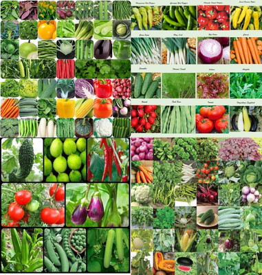 ibains Vegetables seeds combo biij 218 Seed(202 per packet)