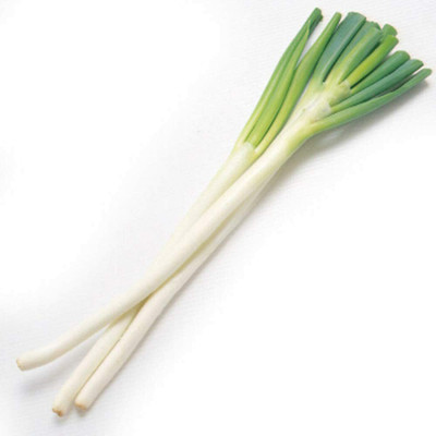 CYBEXIS Scallion Natural Growth Natural Green Onions4000 Seeds Seed(4000 per packet)