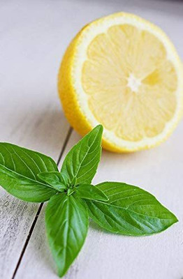 VibeX ® VXI-25 Lemon Basil Seeds Seed(1000 per packet)