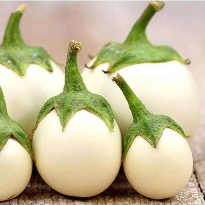 Infintegreen WHITE BRINJAL Seed(100 per packet)