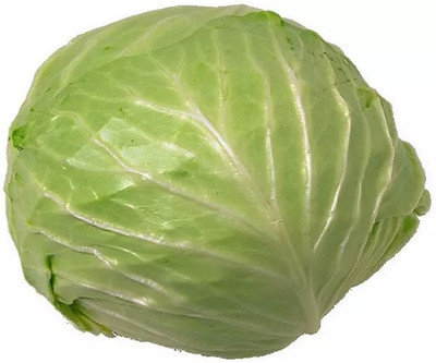 MYLAWN Green Cabbage Seed(50 per packet)