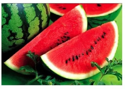 EMKOT Crimson Sweet Watermelon Organic Seed(100 per packet)