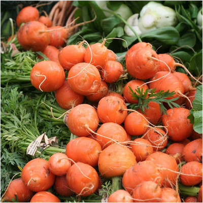 CYBEXIS XLR-74 - Paris Market Carrot - (2250 Seeds) Seed(2250 per packet)