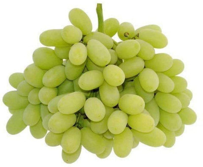 ALWAYSWE Grape Seed(40 per packet)