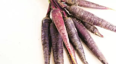 MAA Carrot Black, Gajar Seed(55 per packet)