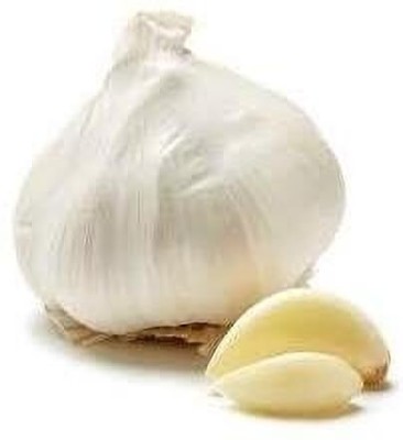 TRICONE Lahsun Beej garlic for gardening 20 beej Seed(20 per packet)