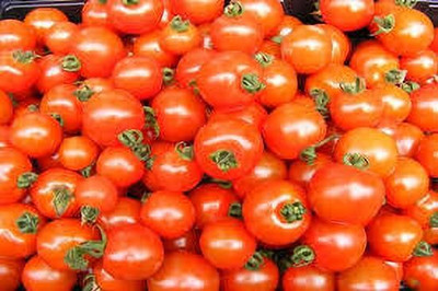 XOLDAA kashmiri hybrid tomato seeds Seed(100 per packet)