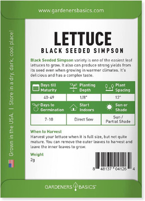 VibeX LXI-22 - Green Leaf Lettuce -Black ed Simpson - (1350 Seeds) Seed(1350 per packet)
