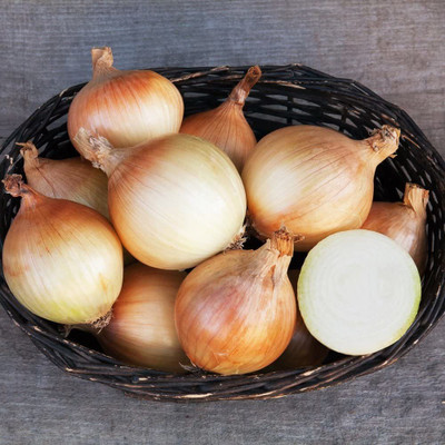 VibeX VXI-2 - Organic Onion Ailsa Craig - (13500 Seeds) Seed(13500 per packet)