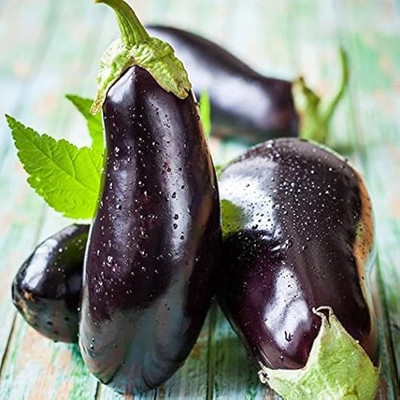 BDSresolve bengan seeds hybrid/brinjal seeds 83 Seed(83 per packet)