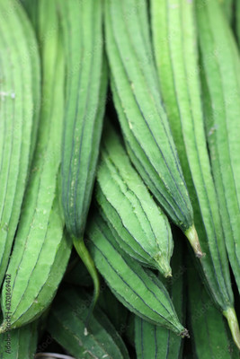 Paudhaa F1 best quality RIDGE GOURD Seed(18 per packet)