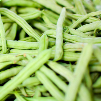 CYBEXIS F1 Hybrid Seeds-Runner Bean400 Seeds Seed(400 per packet)