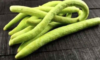 Quentova Long Cucumber Seeds-SD-150-K8-RXI-4R Seed(200 per packet)
