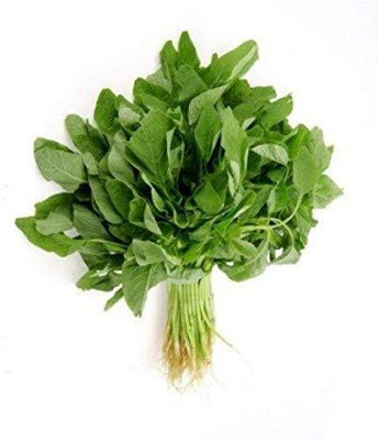 Qualtivate RES-7A Amaranth Vegetable - Chawali Bhaji Seed(300 per packet)