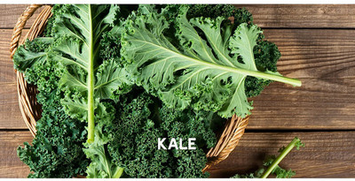 CYBEXIS Kale Seeds2000 Seeds Seed(2000 per packet)
