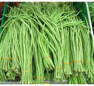 BDSresolve cluster beans seeds Seed(67 per packet)