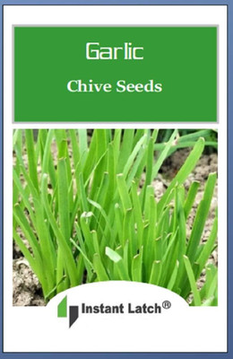 Biosnyg Non GMO Garlic Chive Seeds For Gardening-(3000 Seeds) Seed(3000 per packet)