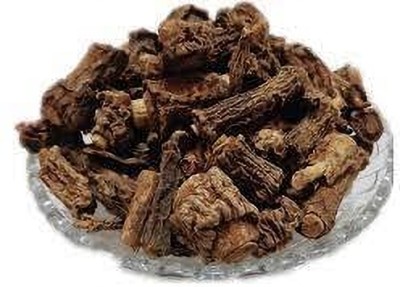 Elysian Enterprises Anantmool Madrasi (Root) - Hemidesmus Indicus - Sarsaparilla Seed(1 kg)