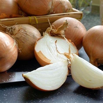 CYBEXIS F1 Hybrid Onion Seeds4000 Seeds Seed(4000 per packet)