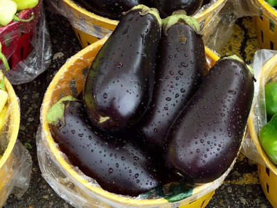 Biosnyg Heat Tolerant Black Beauty Brinjal (400 Seeds) Seed(400 per packet)