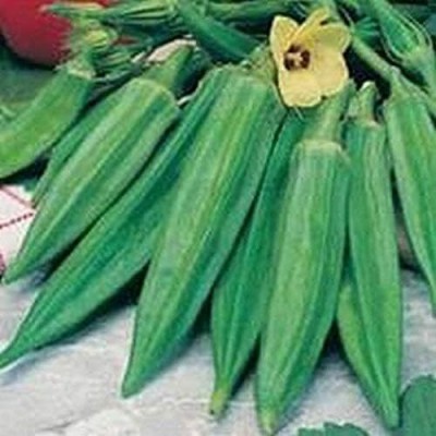 Qualtivate ICRA-4A Cajun Delight Hybrid Okra Seed(350 per packet)