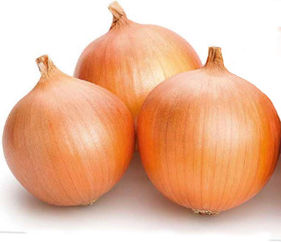 Biosnyg Fast Growing Dutch Giant Brown Onion Seeds for Home Gardening-(750 Seeds) Seed(750 per packet)