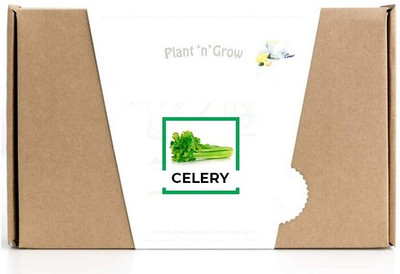 CYBEXIS Celery1400 Seeds Seed(1400 per packet)