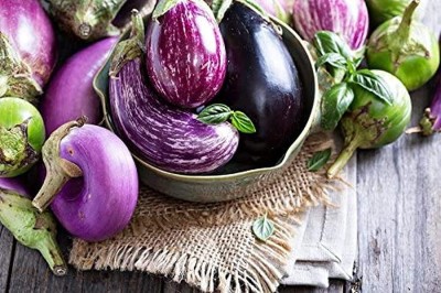 KNESSiN DLH-82 Brinjal Mix Varieties Seed(500 per packet)