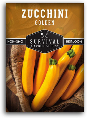 CYBEXIS XLR-23 - Golden Zucchini for Planting - (75 Seeds) Seed(75 per packet)